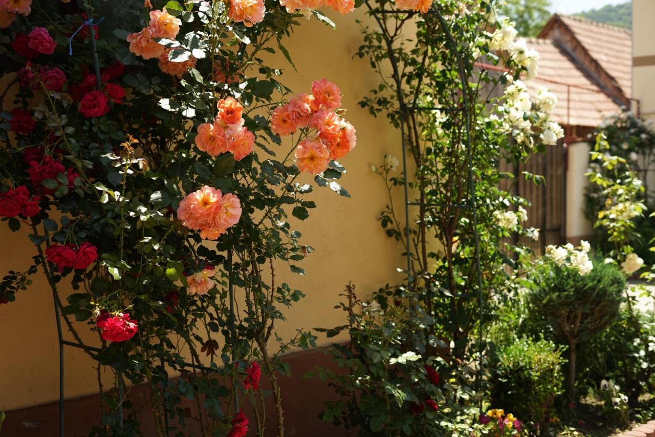 Casa Ciortea Ana Sibiel Exterior foto
